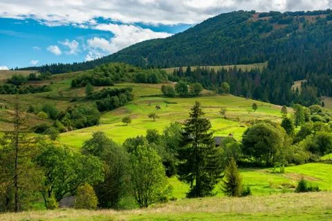 Rural fields on rolling hills Stock Photos
