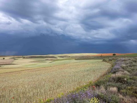 Rural fields under dark storm clouds bringing rain Stock-Fotos