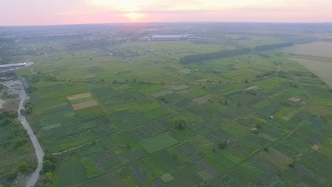 Rural fields with various types of agriculture, aerial shot Stock Footage 77524813