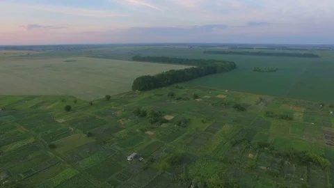 Rural fields with various types of agriculture, aerial shot Stock Footage 77525122