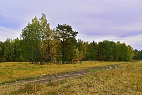 Rural fields in the Western Urals in cloudy autumn weather Stock Photos