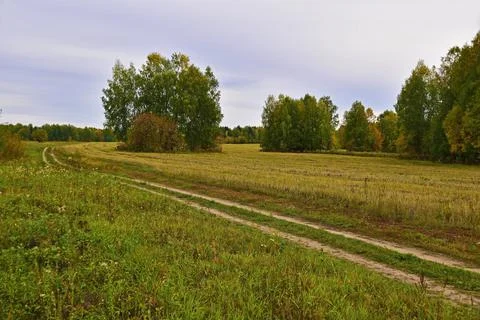 Rural fields in the Western Urals in cloudy autumn weather Stock Photos