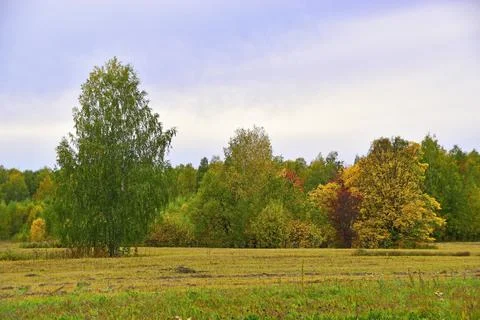 Rural fields in the Western Urals in cloudy autumn weather Stock Photos