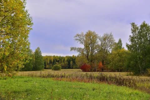 Rural fields in the Western Urals in cloudy autumn weather Stock Photos