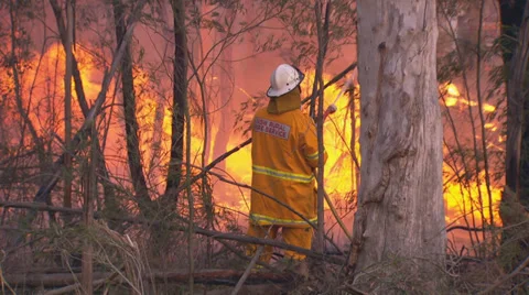 Rural Fire Service back burns during Sydney bushfire PT2 Stock Footage 30366136