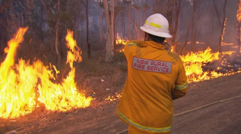 Rural Fire Service back burns during Sydney bushfire PT4 動画素材 30366973
