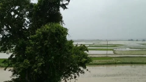 Rural Flood Through Train Window Stock Footage 160044205