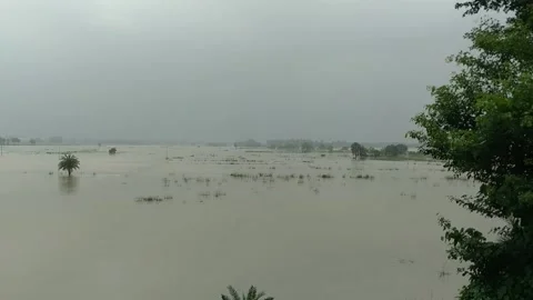 Rural Flood Through Train Window Stock Footage 160072145