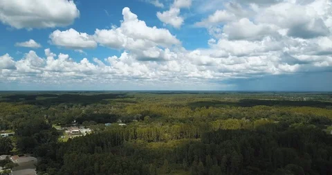 Rural Florida Woods and Sky - Aerial Stock Footage