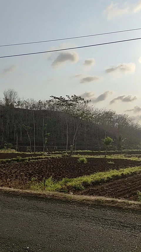 Rural Stock Footage 275143502