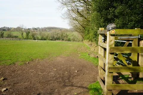 Rural Footpath Gate, Green Fields, And Trees In Barlow, North East Derbyshire, Stock Photos