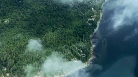 Rural Forest Peninsula on Cloudy Day - Aerial 2 Stock Footage 43146898