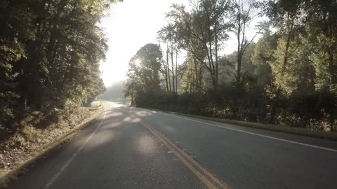 Rural Forest Road 02 Stock Footage 77612920