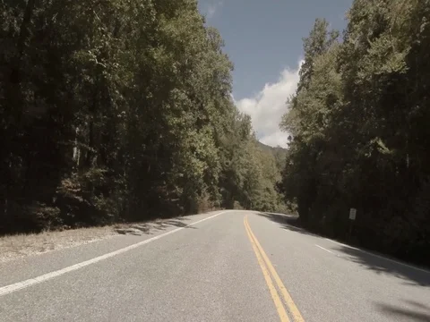 Rural Forest Road 03 Stock Footage 77609485