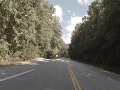 Rural Forest Road Rear-Facing Camera 03 Stock Footage 77610907
