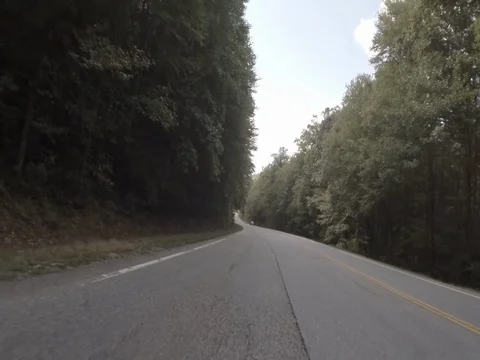Rural Forest Road Rear-Facing Camera 01 Stock Footage 77611698