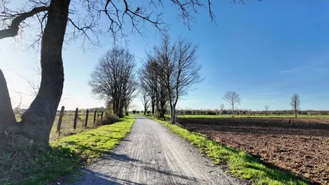Rural gravel path with long, rhythmic tree shadows. Vídeos de archivo 333209660