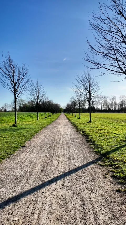 Rural gravel path with long, rhythmic tree shadows. Stockbeeldmateriaal 333209686