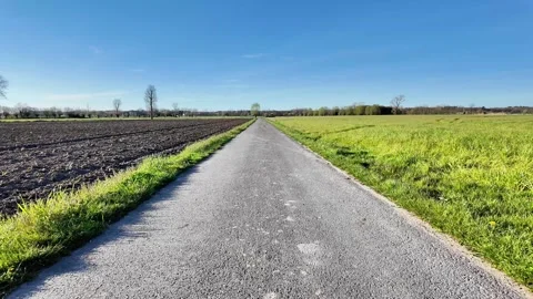 Rural gravel path with long, rhythmic tree shadows. Vídeos de archivo 333209700