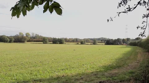 Rural green fields, big cloudy blue sky and overhead electricity pylons 스톡 동영상 42506956