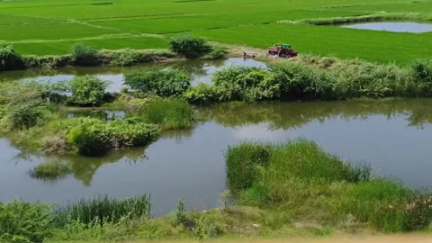 Rural Green Fields with Pond STABLE CINEMATIC TRAVEL SHOT Stock Footage 321425441