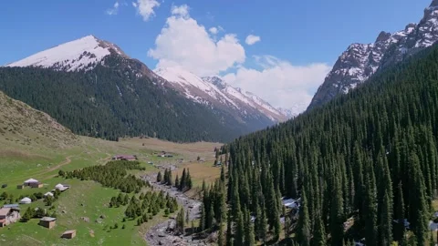 Rural Hamlet Near Forest. Tranquil Mountain Village Situated Beside Flowing Stock-Footage 339175751