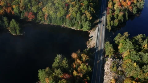 Rural highway in autumn Stock Footage 163748946