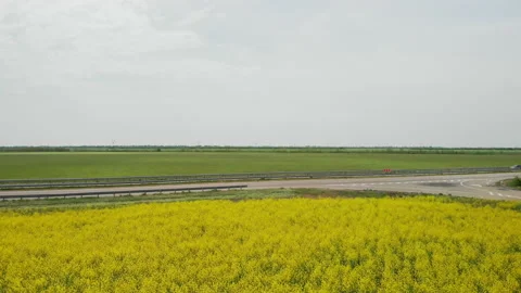 Rural Highway Intersection - Approaching the Road with Rapeseed Field Foreground Stock Footage 130665825