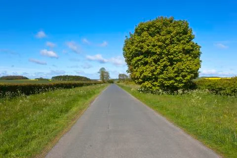 Rural highway in springtime Stock Photos