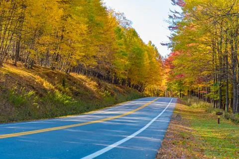 A rural highway through a forest in the fall Stock Photos