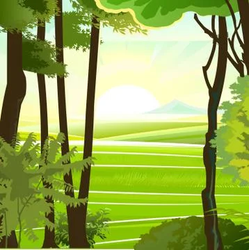 Rural hills. Landscape with trees. Vector. Pasture grass for cows and a place Stock Illustration
