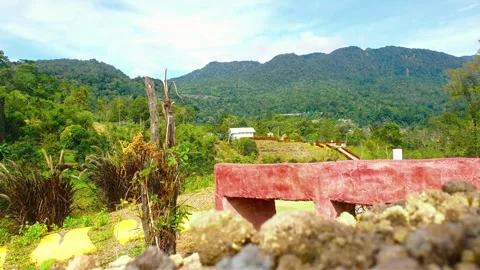 A rural hillside Stock-Footage 288793295