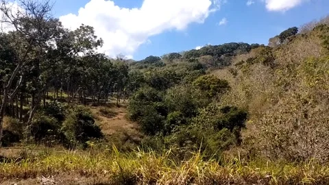 Rural Hillside Landscape with Sparse Vegetation Stock Footage 341798306
