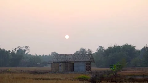 Rural hut in open field during soft sunset light Stock Footage 326987908