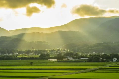 Rural image sunset light refers Stock Photos