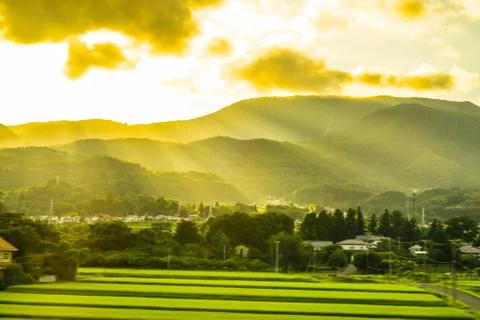 Rural image sunset light refers Stock Photos