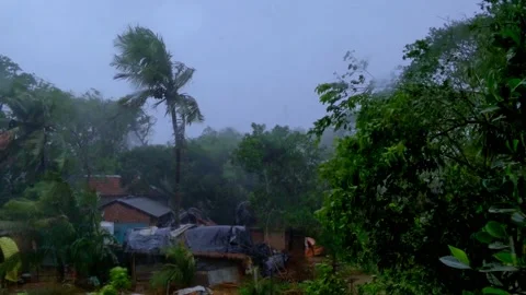 Rural India during raging cyclone storm in 2020 known as Amphan. This was Stock Footage 150341880
