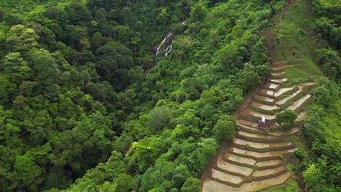 Rural Indonesian Farm In Sukabumi Java Rice Fields Drone Track Left 4K 60FPS Video stock 333469519