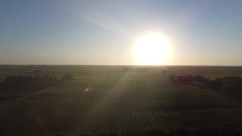 Rural Iowa Sunset over Cornfields Stock Footage 140144746