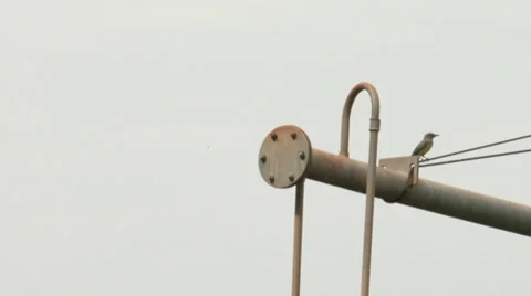 Rural Irrigation Stock Footage 37837126