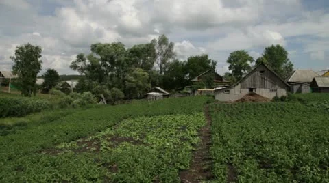 Rural kitchen garden Stock Footage 11252971