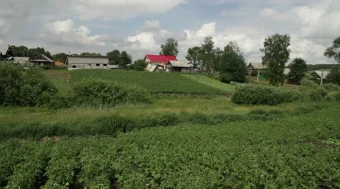 Rural kitchen garden3 Stock Footage 11252975