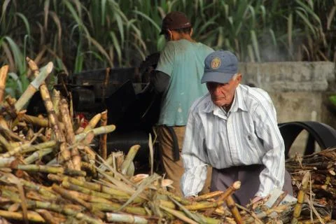 Rural Labour Stock Photos