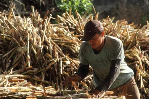 Rural Labour Stock Photos