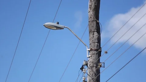 Rural lamp post Stock Footage 95496516