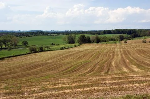 Rural landscape #2 Stock Photos
