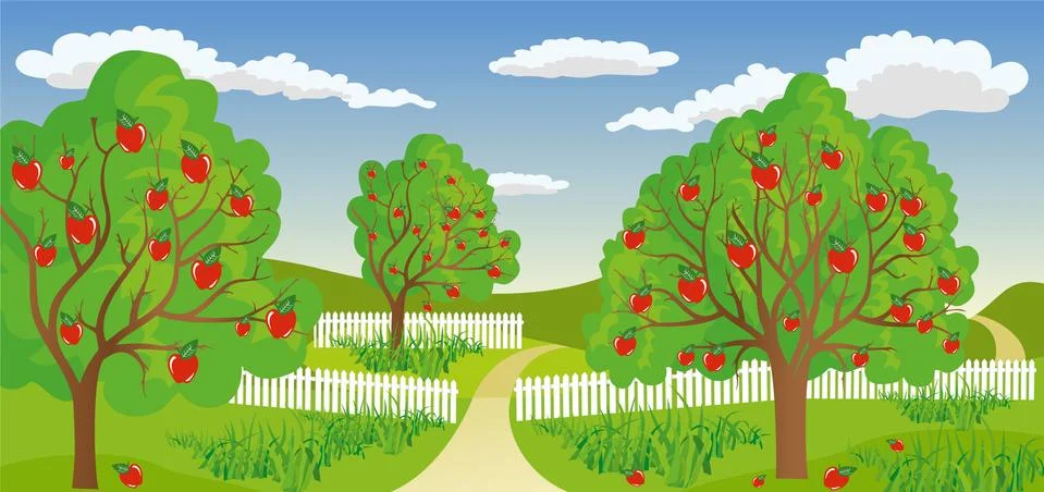 Rural landscape with apple tree Stock Illustration