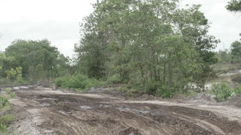 Rural landscape on cloudy day with empty muddy road Stock Footage 160303297