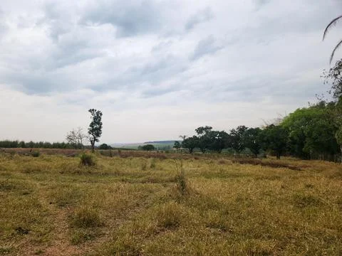 Rural landscape with a cloudy sky. Stock Photos