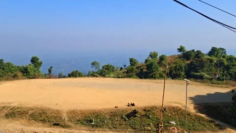 Rural Landscape with Cows Vídeo Stock 331657739